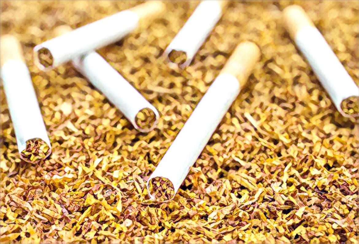 Zimbabwe’s tobacco exports