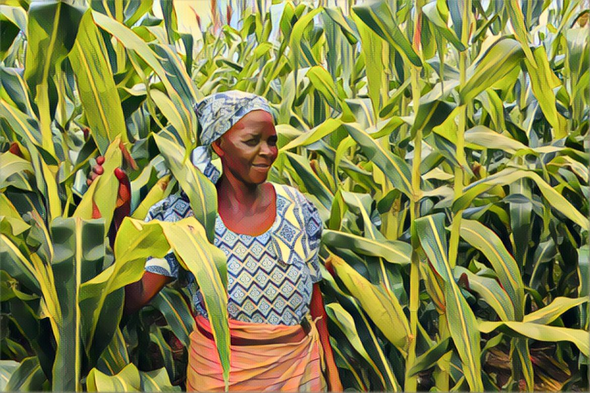 Edited in Prisma app with Thota Vaikuntam