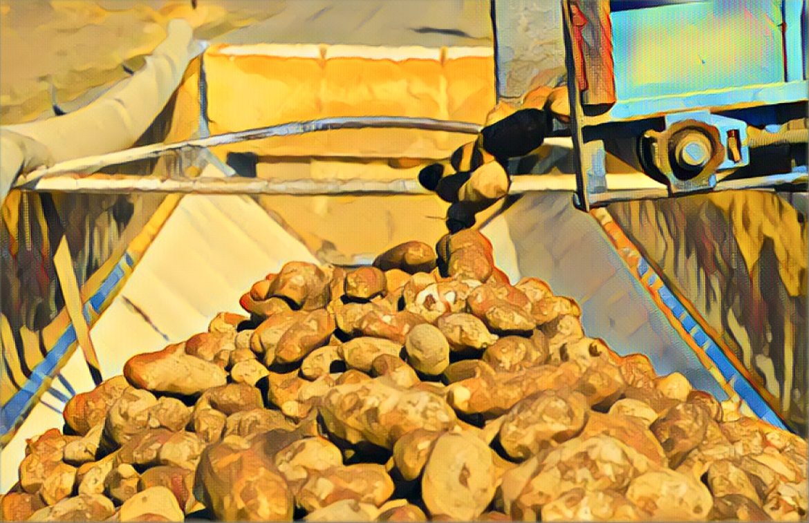 Edited in Prisma app with Thota Vaikuntam
