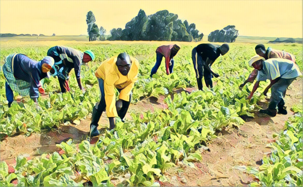 Edited in Prisma app with Thota Vaikuntam