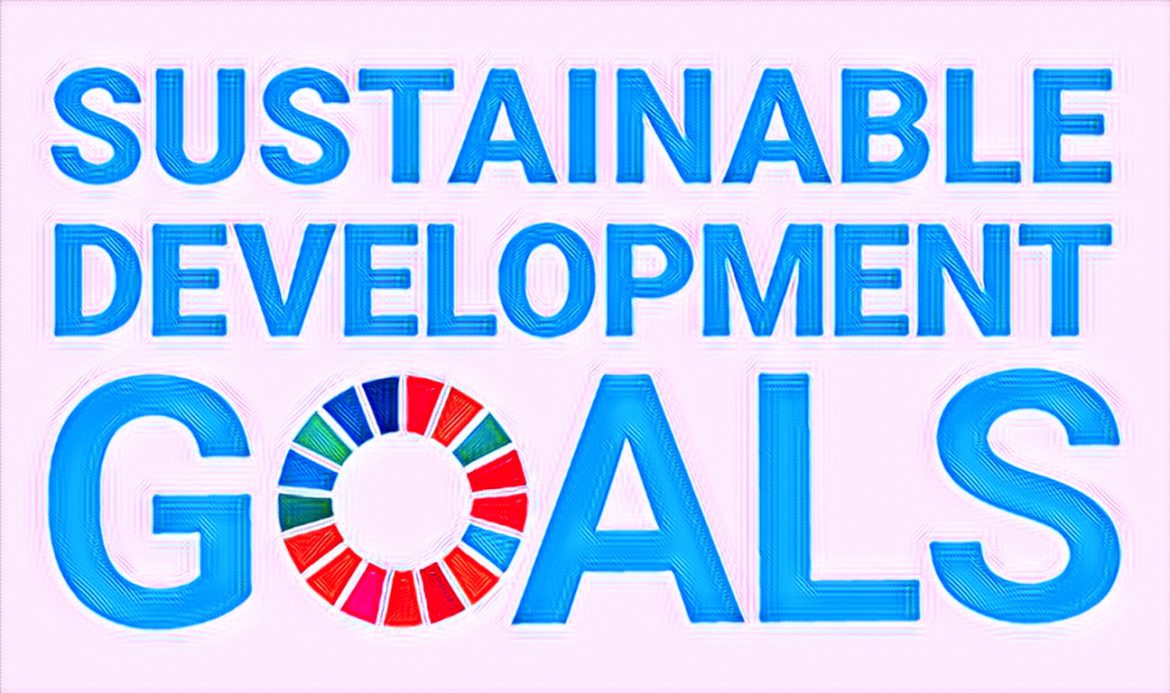 Zimbabwe Struggles to Achieve UN Sustainable Development Goals