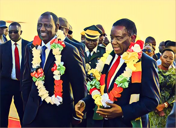 Zimbabawe ZiG Currency