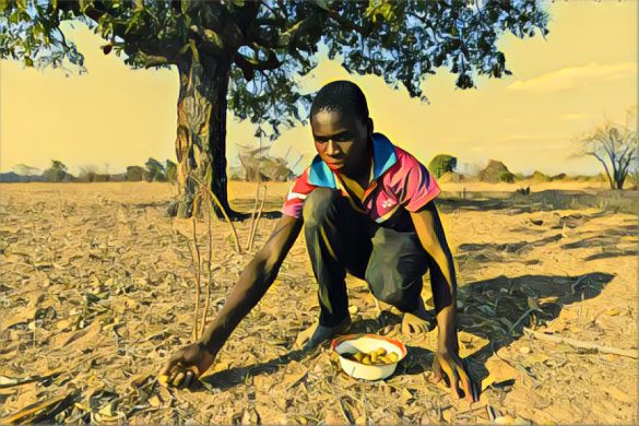 Zimbabwe Declares El Niño-Induced Drought A National Disaster