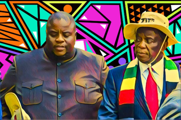Stop abusing access to President Mnangagwa in your nefarious shenanigans — Zanu PF rages at name-dropping Chivayo