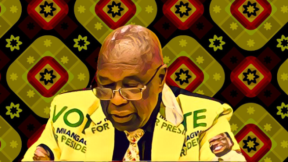 After SADC Summit, Zanu PF calls for release of jailed activists – ruling party says there is nothing more to disturb