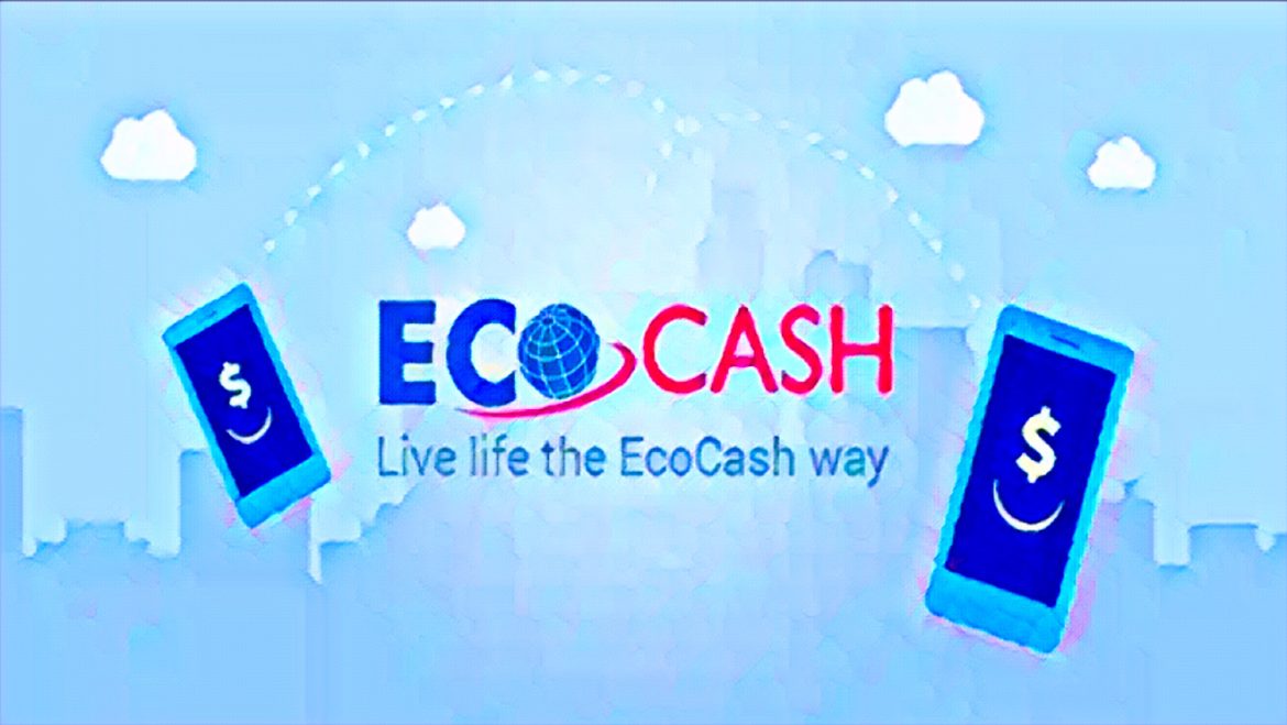EcoCash EcoPay bulk payments