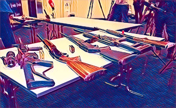 Zimbabwe Firearms Amendments