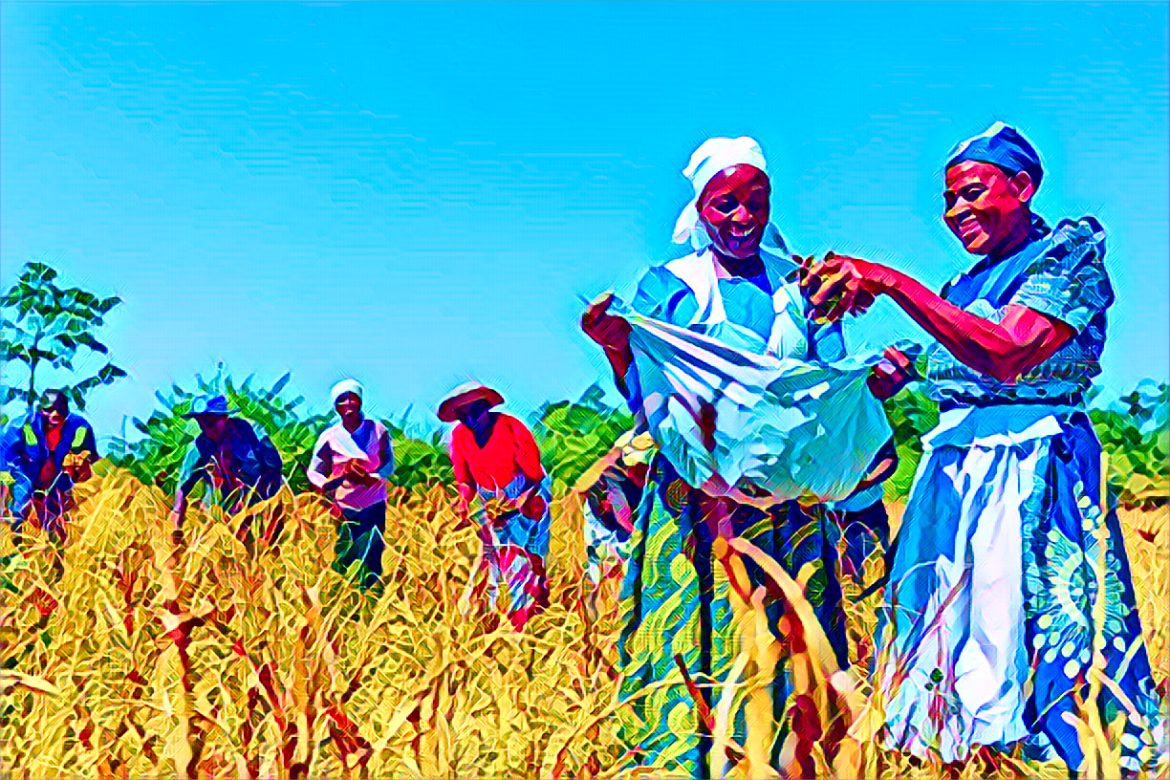 Japan Pledges $5.1 Million to Support Climate Resilience, Agriculture in Zimbabwe Japan Pledges $5.1 Million to Support Climate Resilience, Agriculture in Zimbabwe