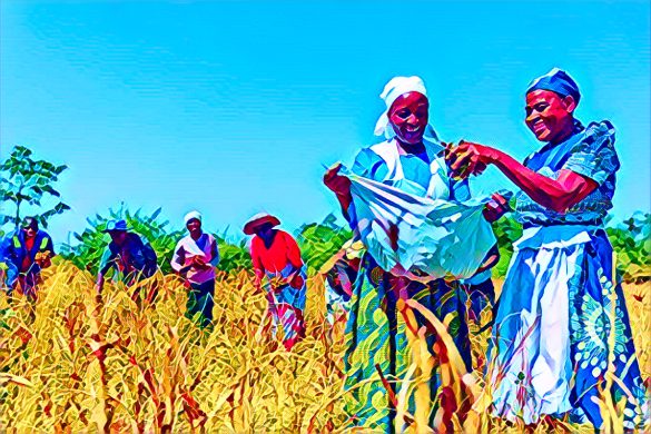 Japan Pledges $5.1 Million to Support Climate Resilience, Agriculture in Zimbabwe