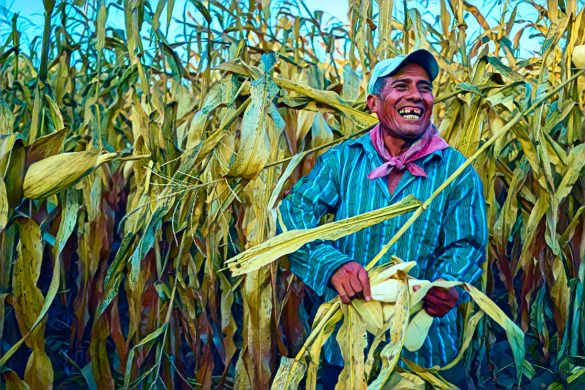 sustainable farming practices for Zimbabwe