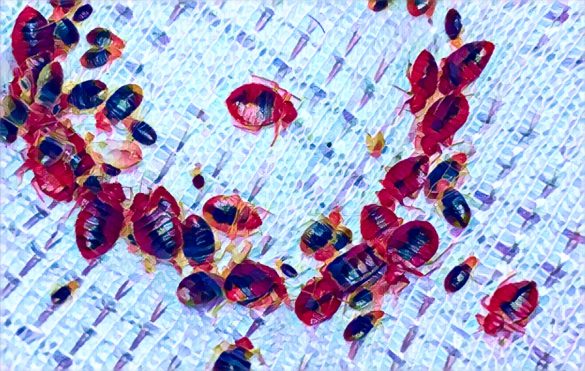 A photo of Nkulumane suburb in Bulawayo, Zimbabwe.