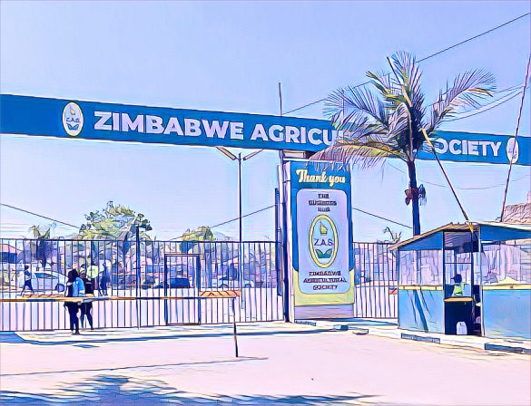 Zimbabwe Agricultural Show Opens With Focus on Sustainability
