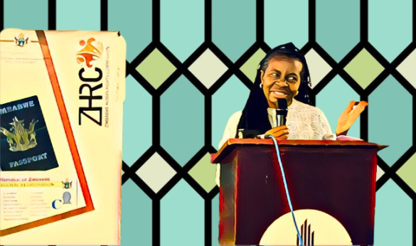 Zimbabwe Rights Body Pledges Deeper UN Partnership